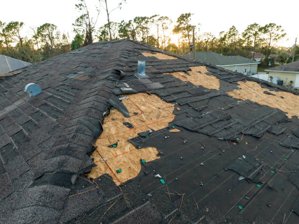 Best Skylight Installation and Repair  in Delshire, OH