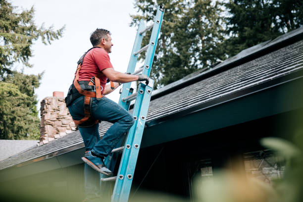Best Roof Replacement  in Delshire, OH