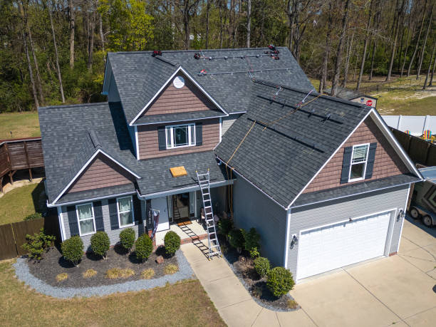 Best Roof Maintenance and Cleaning  in Delshire, OH